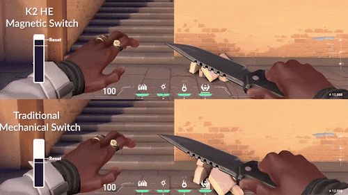 Dynamic Rapid Trigger 1.gif__PID:918ec9c0-2c2b-4a2b-9fdb-71e0b3d3f15e