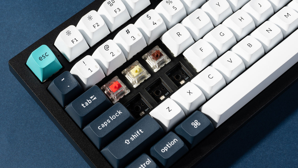 Hot-Swppable Feature of Keychron Q6 Max 100% Layout QMK/VIA Wireless Custom Mechanical Keyboard Q6-Max-hot-swappabl.jpg__PID:7014b2bb-632d-4d66-8bea-6553b06659f9